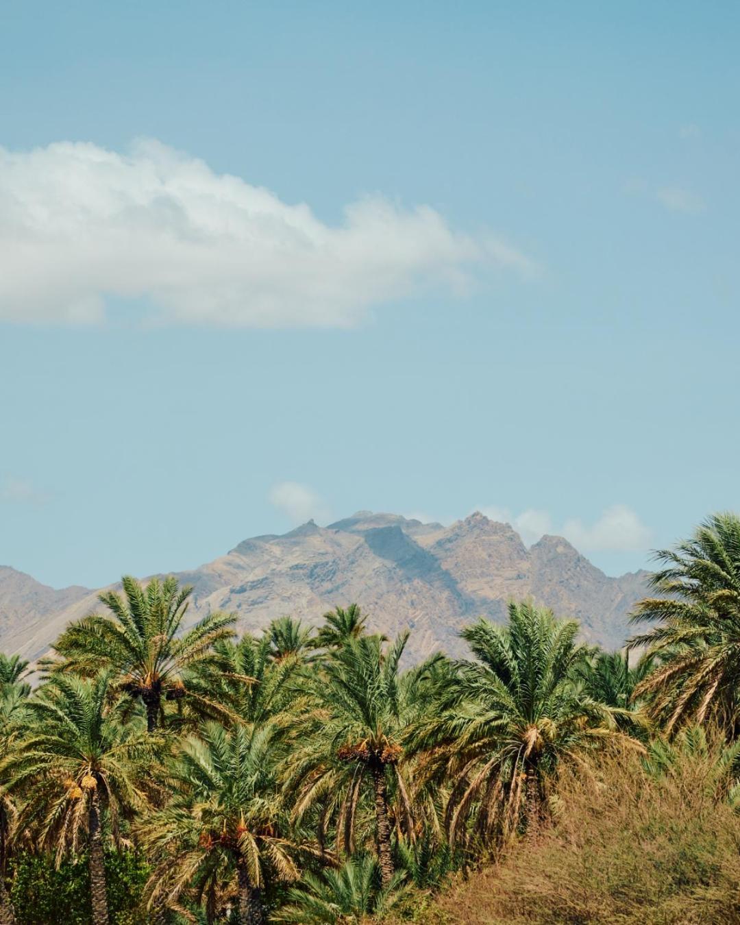Mandarin Oriental, Muscat Hotell Eksteriør bilde